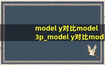 model y对比model 3p_model y对比model3p